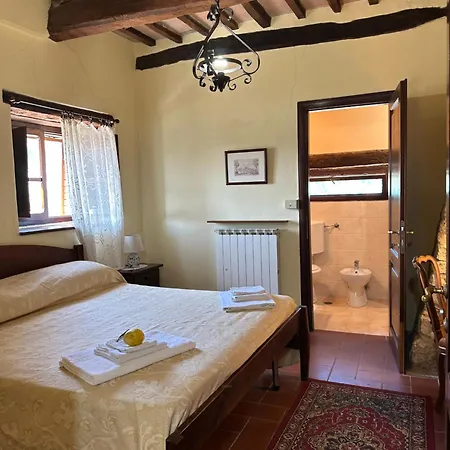 Il Monte - Piscina Tra Gli Ulivi, Maneggio Con Cavalli E Wifi Εξοχικό σπίτι Monte Santa Maria Tiberina