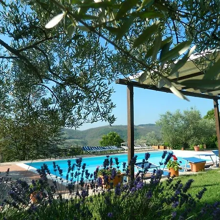 Il Monte - Piscina Tra Gli Ulivi, Maneggio Con Cavalli E Wifi Séjour à la campagne *