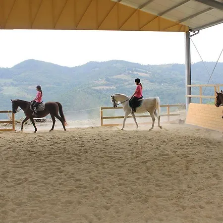 Εξοχικό σπίτι Il Monte - Piscina Tra Gli Ulivi, Maneggio Con Cavalli E Wifi