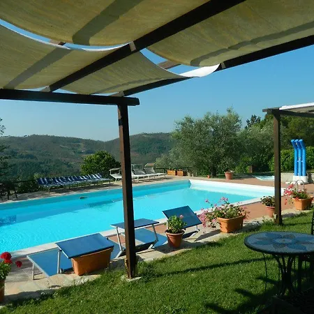 Il Monte - Piscina Tra Gli Ulivi, Maneggio Con Cavalli E Wifi Monte Santa Maria Tiberina