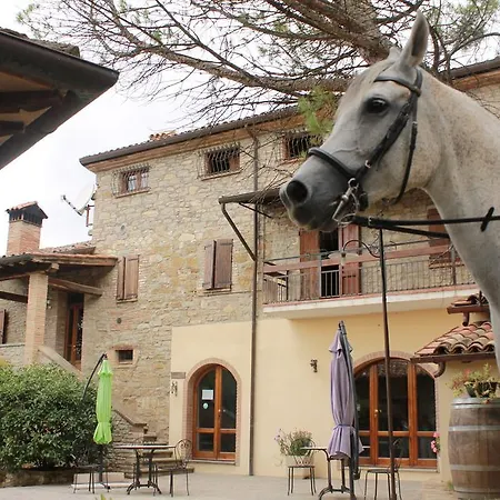 Il Monte - Piscina Tra Gli Ulivi, Maneggio Con Cavalli E Wifi * Monte Santa Maria Tiberina