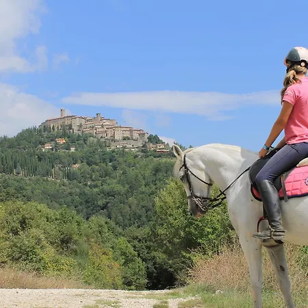 Εξοχικό σπίτι Il Monte - Piscina Tra Gli Ulivi, Maneggio Con Cavalli E Wifi *