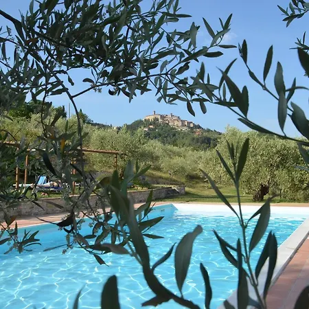 Il Monte - Piscina Tra Gli Ulivi, Maneggio Con Cavalli E Wifi Εξοχικό σπίτι Monte Santa Maria Tiberina