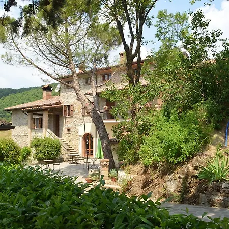 Il Monte - Piscina Tra Gli Ulivi, Maneggio Con Cavalli E Wifi Casa de Campo Monte Santa Maria Tiberina