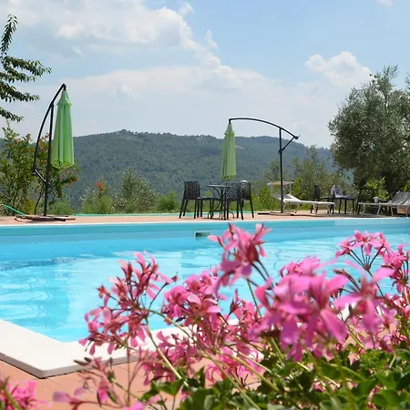 Εξοχικό σπίτι Il Monte - Piscina Tra Gli Ulivi, Maneggio Con Cavalli E Wifi *