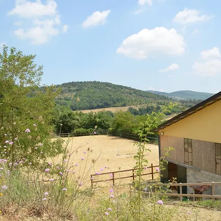 Il Monte - Piscina Tra Gli Ulivi, Maneggio Con Cavalli E Wifi *