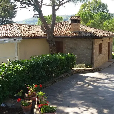 Il Monte - Piscina Tra Gli Ulivi, Maneggio Con Cavalli E Wifi * Monte Santa Maria Tiberina