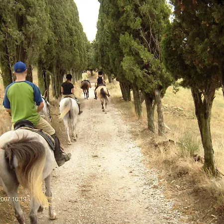 Il Monte - Piscina Tra Gli Ulivi, Maneggio Con Cavalli E Wifi Monte Santa Maria Tiberina